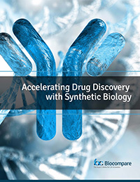 eBook Accelerating Drug Discovery with Synthetic Biology